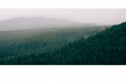 Natural Capital