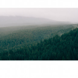 Natural Capital