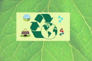 Sustainability a way of life