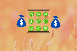Economic Sustainability is the first step in achieving Sustainability.