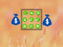 Economic Sustainability is the first step in achieving Sustainability.