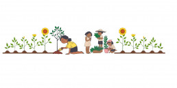 This blog is about Afforestation