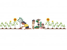 This blog is about Afforestation