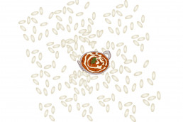 this blog deals with Rice and Dal
