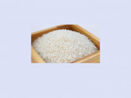 This blog post is about the origin of rice.