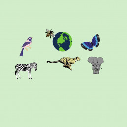 This blogpost is about wildlife and sustainability.