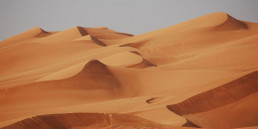 Desertization is not what it seems !