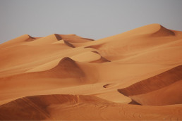 Desertization is not what it seems !