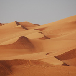 Desertization is not what it seems !